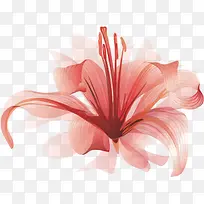 花枝，粉色，粉色花朵，淘宝素材