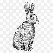 萌萌的黑白可爱兔子手绘素描矢量