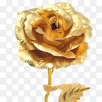 金色精致装饰花卉设计图