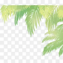 矢量椰子树叶