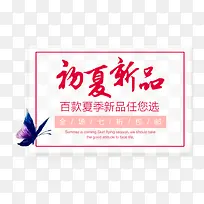初夏新品