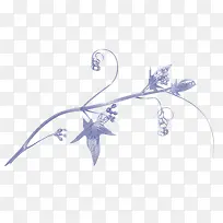 树叶素材树叶花边图片