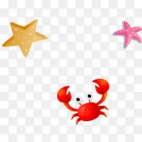 夏天主题海星红螃蟹