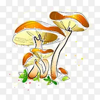 手绘蘑菇水彩