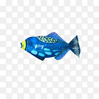 蓝色水彩手绘海洋生物鱼类图案