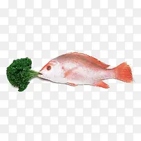 蔬菜与鱼食材摄影