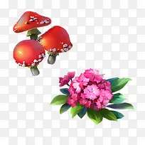 蘑菇石竹花