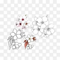 手绘花卉线稿图