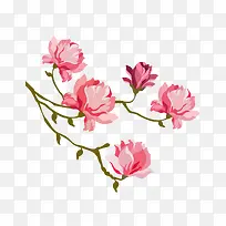粉红色水彩手绘玉兰花装饰图案