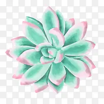 手绘水彩绘画立体墨绿花卉
