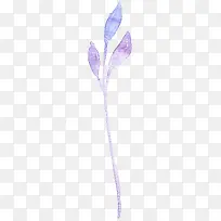 手绘水彩蓝紫色花卉