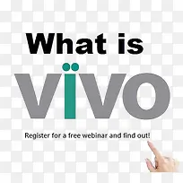 what  is  vivo