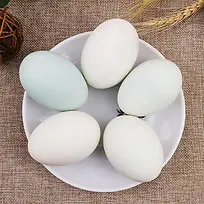 一盘五枚白色土鸭蛋