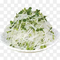香椿苗萝卜丝