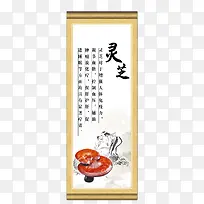 传统中医药材灵芝