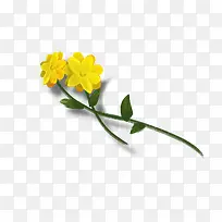 手绘插画黄色油菜花