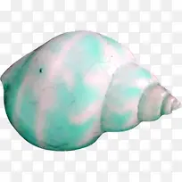 白色带绿色斑纹海螺