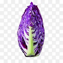 紫圆白菜