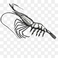 水平画幅小龙虾免抠png