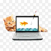 在电脑屏幕里抓鱼的猫