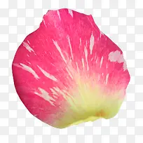 一片粉色的花瓣