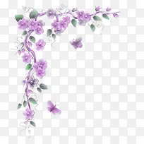 紫色花朵藤蔓