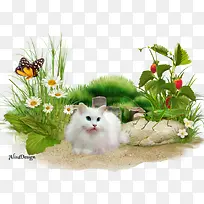 小猫咪