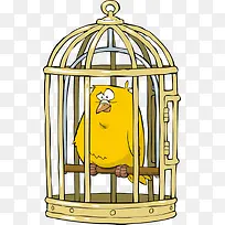 鸟笼里渴望自由的小鸟
