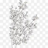 矢量手绘装饰线描花卉植物图案