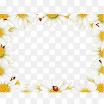 方形菊花视频边框