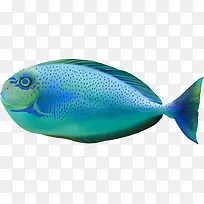矢量海底鱼丑鱼蓝色素材