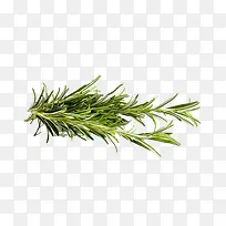 米迭香草