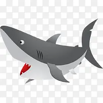 凶猛的海上鲨鱼张嘴