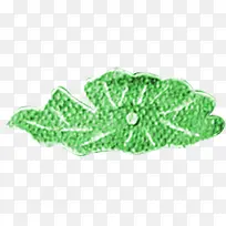 绿色卡通珍珠创意植物