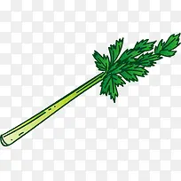 单根矢量绿色芹菜