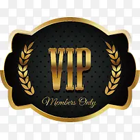 vip卡通设计