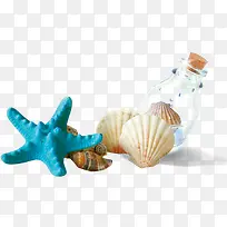 摄影夏日沙滩海星贝壳漂流瓶