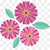 紫色春天雏菊花朵