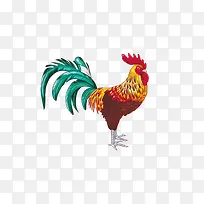 2017鸡年大公鸡
