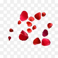 情人节红色浪漫玫瑰瓣装饰