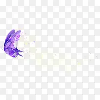 紫色蝴蝶星光