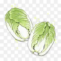 手绘大白菜