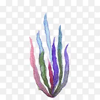 彩色海草