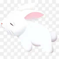 白色小兔子