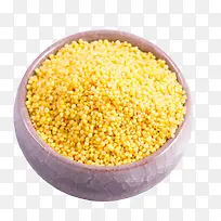 瓷碗装金黄有机小米新小米月子米