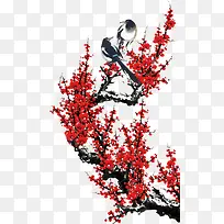 杜鹃喜鹊