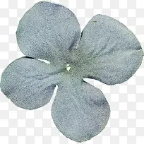 童话里的花