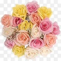 春季清新彩色玫瑰花束装饰