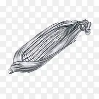 素描玉米