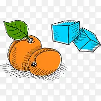 卡通矢量杏子冰块手绘食物